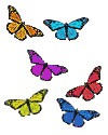 scatteredbutterflies.jpg
