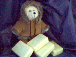 Soap bars guarded by polar bear wearing a parka